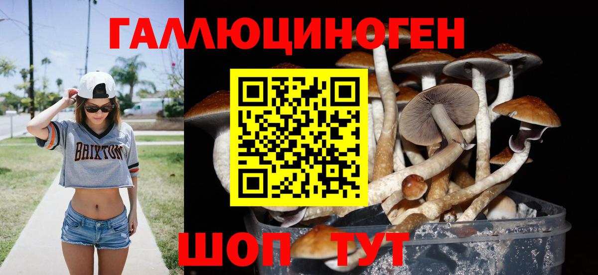 Галлюциногенные грибы Magic Shrooms  купить наркотики цена  Нарьян-Мар  Вход с VPN 